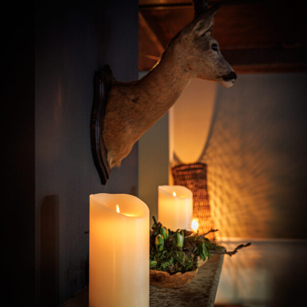 een opgezette ree aan de muur met kaarsen van dorsetto